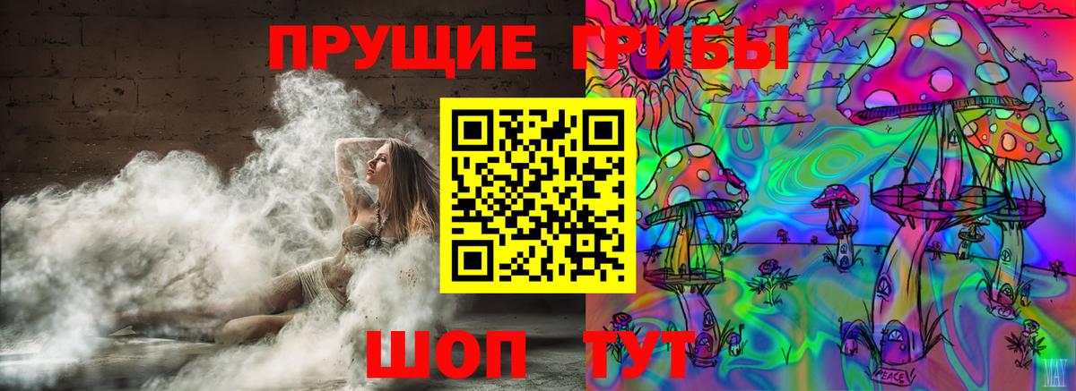 Галлюциногенные грибы MAGIC MUSHROOMS  Вход с VPN  Междуреченск 