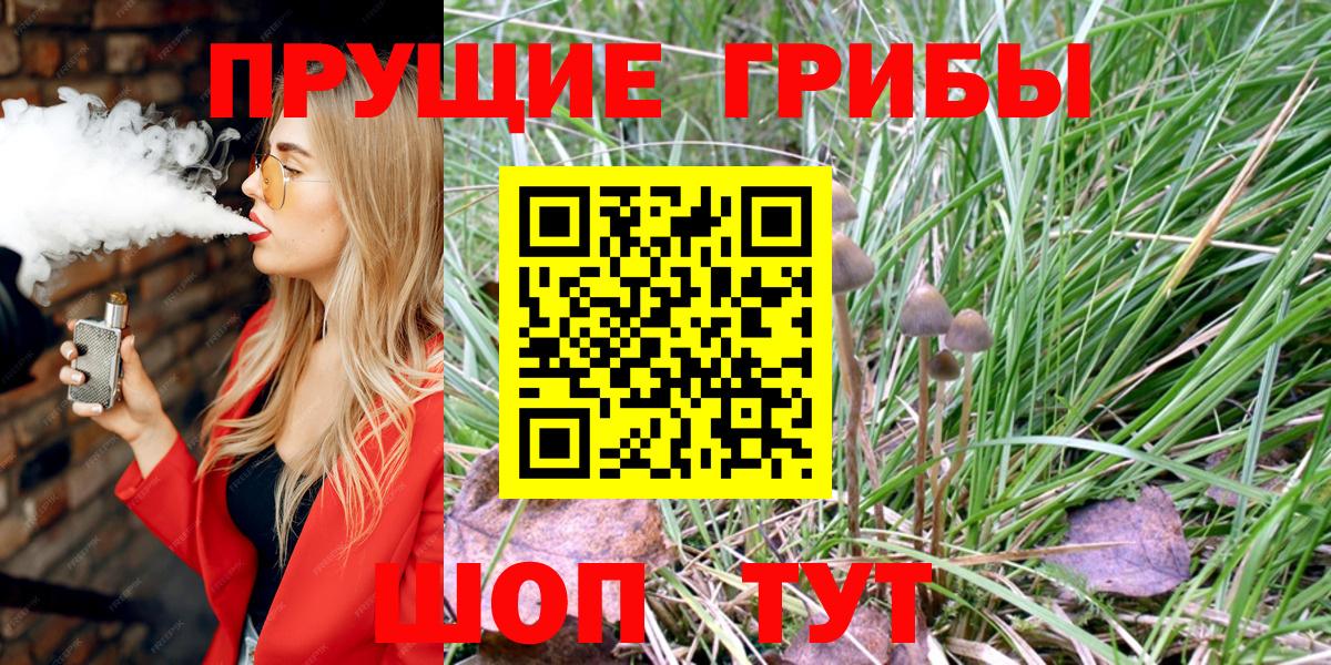 Галлюциногенные грибы мухоморы Междуреченск